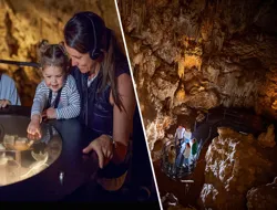 Combo (Save 5%): Mammoth Cave Tour with Audio Guide + Ngilgi Cave Ancient Lands Tickets